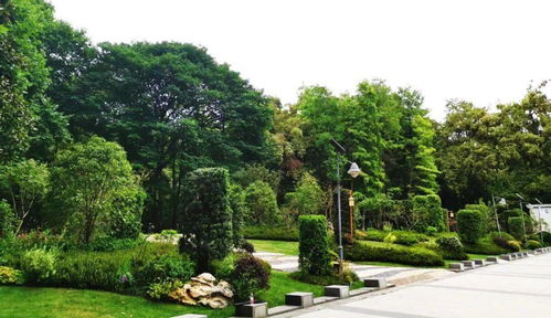 喜訊！人文園林榮獲2020年杭州市優(yōu)秀園林綠化工程兩項(xiàng)金獎(jiǎng)